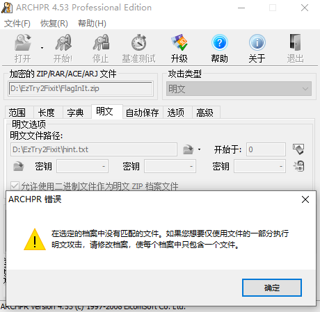 勾选允许二进制,使用 txt 文件作为明文