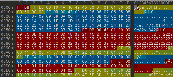正常 JPG 文件头